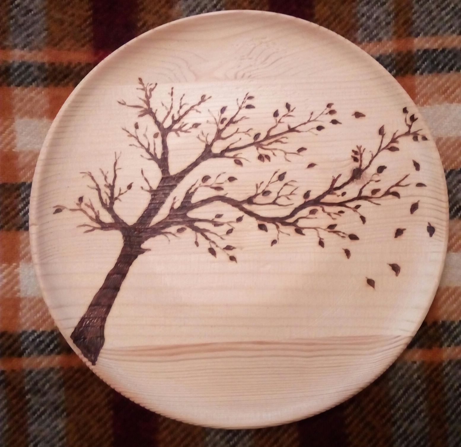 Тарелка пример